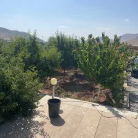 فروش باغ
