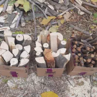 هیزم خشک خرد شده