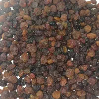 عمده فروشی|عمده‌فروشی|قوچان, |دیوار