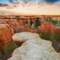 پارتنر برای تفریح