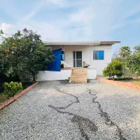 400متر-خونه-روستایی-انواع-درخت-مرکبات-سند-تک-برگ