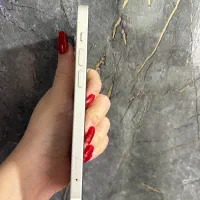 ایفون 12 نرمال|موبایل|تربت‌حیدریه, میدان مرکزی|دیوار