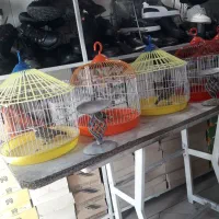 سهره خاکی جوان