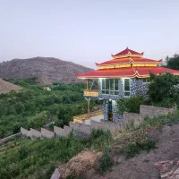 استراحتگاه-باغ