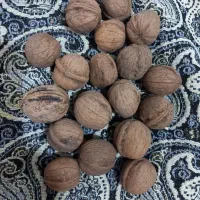 گردو تویسرکان|خوردنی و آشامیدنی|چهارباغ, |دیوار