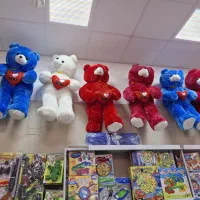 عروسک پولیشی جزئی و عمده