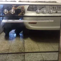 گاز ۵ شعله سالم|اجاق گاز و لوازم برقی پخت‌وپز|ری, شهید غیوری (ابن باویه)|دیوار