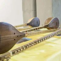 مسترکلاس خصوصی تار و سه‌تار|خدمات آموزشی|یزد, |دیوار