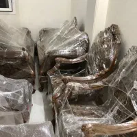 مبلمان سلطنتی/استیل۸نفره/چوب گردو/درحدنونو