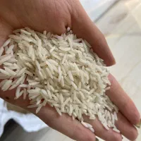 برنج درجه ی یک هاشمی وبرنج نیم دونه ی هاشمی