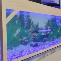 اکواریوم و هر چی تو عکسه۸۰۰معاوضه بااکواریوم کوچیک