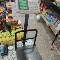 باسکول تراز