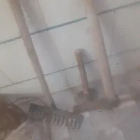 کلنگدوسروپتک‌وسیم‌بکسل