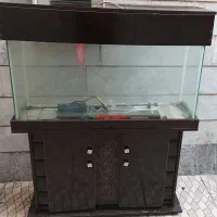 آکواریم کمد دار