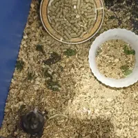 واگذاری|موش و خرگوش|تبریز, |دیوار