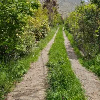 نیازمند کارگر دائم