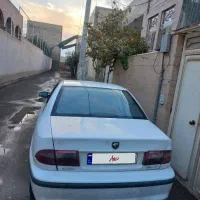 سمند سفید