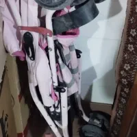 کالسکه|کالسکه و لوازم جانبی|فلاورجان, |دیوار