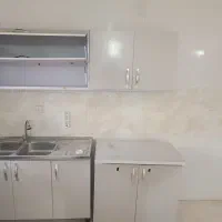 کابینت  سینگ.  شیر