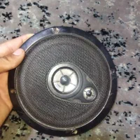 باند TS6031