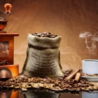 نیروی کافی شاپ و آبمیوه