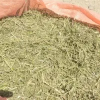 یونجه خورد شده