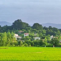زمین ۴۵۵ متری کتشال