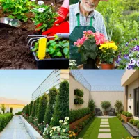 خدمات باغبانی گلکاری کاشتی گل درختکاری کوددهی هرس