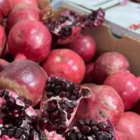 انار دونه سیاه