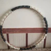 حلقه ورزشی حرفه ای