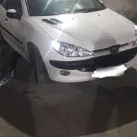 پژو ۲۰۶ مدل ۹۰دور رنگ شاسی پلمپ