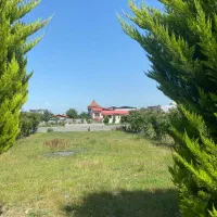 زمین 330متری ویو بی نظیر جنگل کوچه 8متری