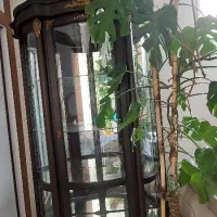 ویترین|بوفه، ویترین، کنسول|اصفهان, کوجان|دیوار