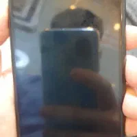 Apple 11