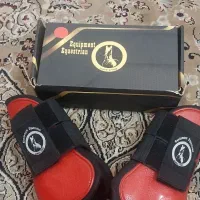 تاندوم بند اسب