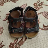 همگی سالم درحدنو|کلکسیون و سرگرمی|نیشابور, محله میدان باغات|دیوار