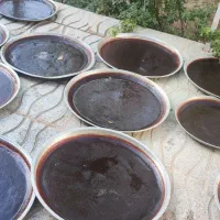 لواشک آلوچه ترش و ملس|خوردنی و آشامیدنی|تهران, صاحب الزمان|دیوار