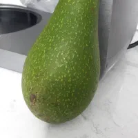 فروش دونه ای میوه آووکادو|خوردنی و آشامیدنی|سنگر, |دیوار