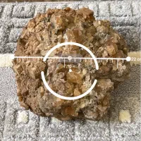 سنگ سلستین بژ قهوه ای|ماهی|دالاهو, |دیوار