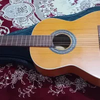 گیتار خش صدا|گیتار، بیس، امپلیفایر|تهران, شهرک رضویه|دیوار