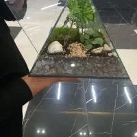 گل طبیعی مدت طولانی زیباوباکلاس