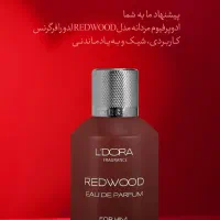 هدیه ولنتاین خاص برای آدم های خاص