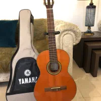 گیتار فندر