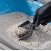 خاک گربه به صورت فله