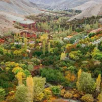 باغ|فروش زمین و ملک کلنگی|آسارا, |دیوار