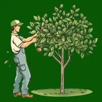 نیروی کار ساده برای فضای سبز