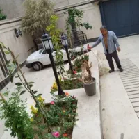 گل کاری وباغبانی هرس کاری وپابیل|خدمات باغبانی و درختکاری|قم, بلوار امین و ساحلی|دیوار