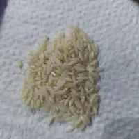 برنج ایرانی برنج دورود|خوردنی و آشامیدنی|اسلامشهر, شهرک سعیدیه|دیوار