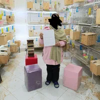 کوتوله عروس گرینچیک برزیلی قناری مرغ عشق کبوتر|پرنده|تهران, آرژانتین|دیوار