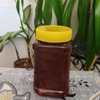 عسل طبیعی زنبورهای وحشی